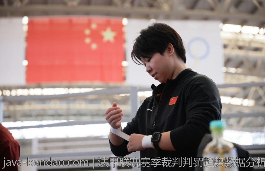 法甲联赛赛季裁判判罚趋势数据分析