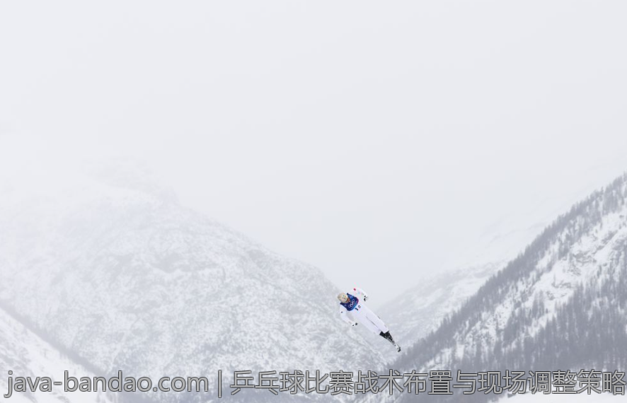 乒乓球比赛战术布置与现场调整策略