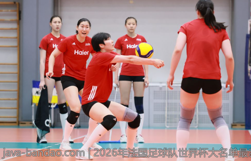 2026年法国足球队世界杯大名单最新动态